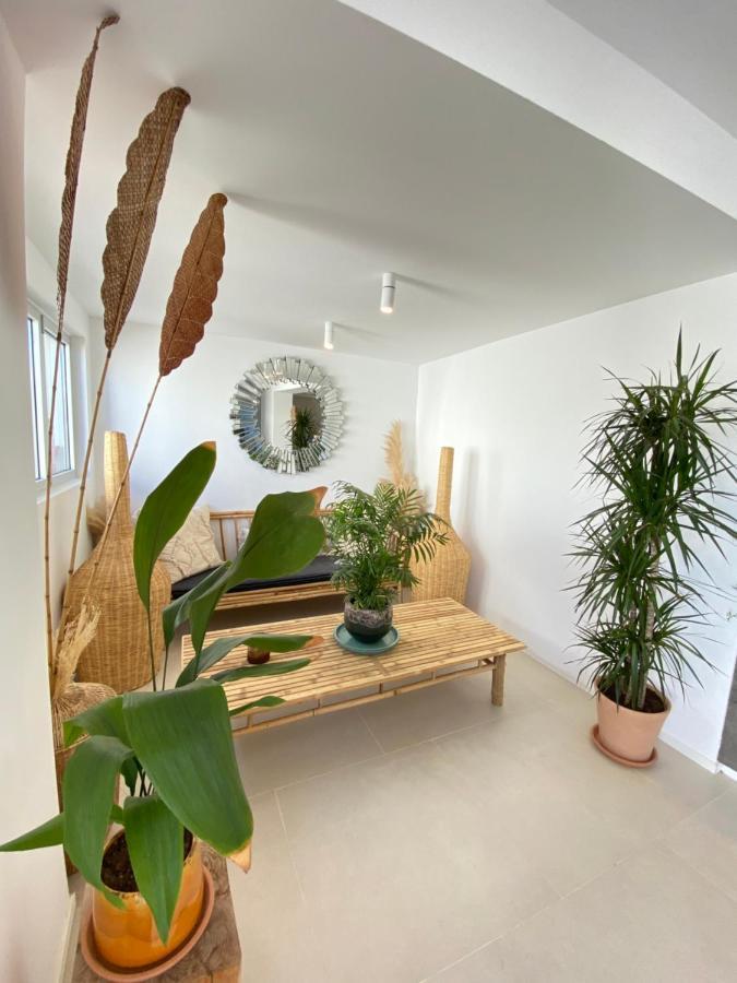 The Olive Boutique & Apartamento